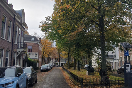 Bomenrij langs gonnetstraat