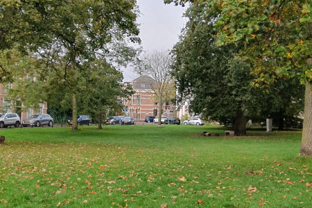 Doorkijk over plantsoen