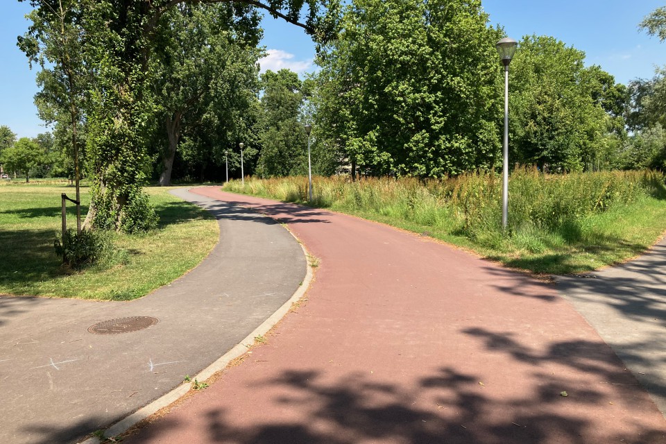 Foto 5: Prachtig overzicht op de weg. Hier kun je fietsen met 40 km/u