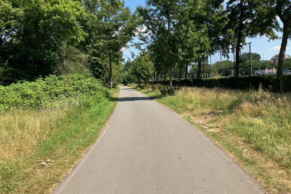 Foto 7: Voetpad geschikt gemaakt voor avondvierdaagse