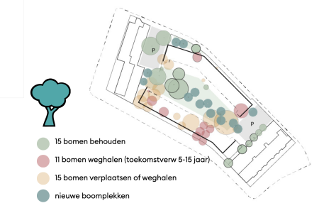 Bomen die blijven en gaan