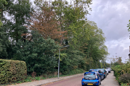 Achterkant van de locatie