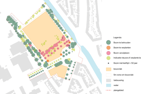 Effect op bomen in het gebied