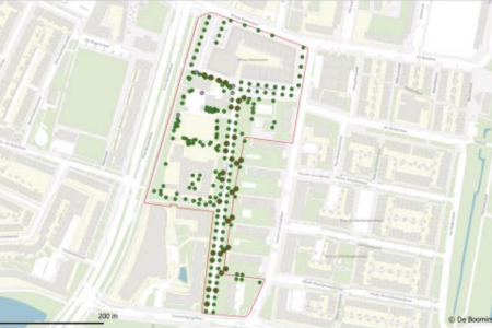Het plangebied met de onderzoeksbomen. De groene punten geven de stam posities van de onderzochte bomen weer. Bomen met een monumentaal karakter hebben een rode punt met groene cirkel eromheen. Grijze punten zijn stobben of niet aanwezige bomen. De rode lijn is de projectgrens.